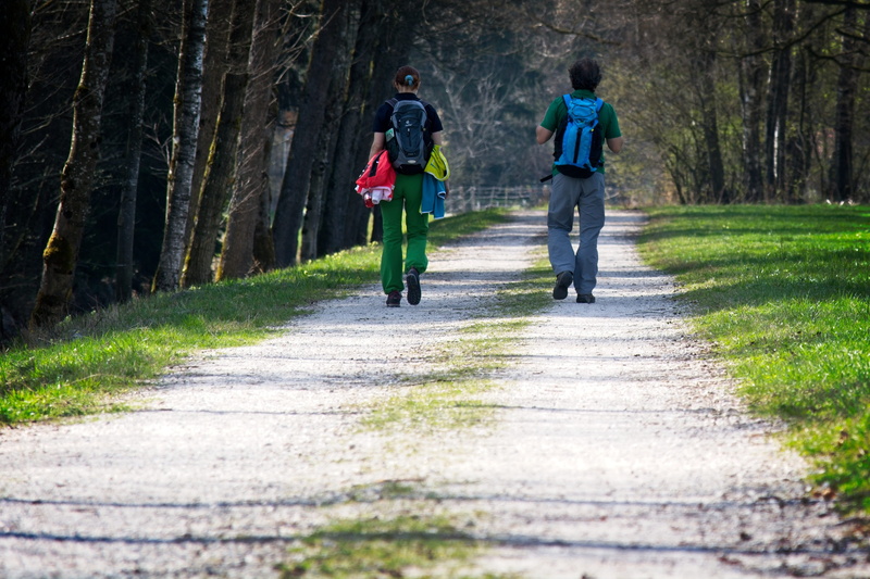rear view, green, Trail, people, hike, Away, walking, go for a walk, lane, direction, Wanderer, Hiking, diminishing perspective, plant, 2K, forest, nature