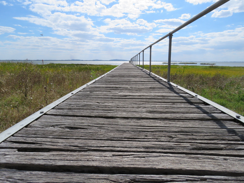 the way forward, environment, go, grief, day, outdoors, tranquil scene, depression, no people, journey, direction, plant, Perspective, pier, going away
