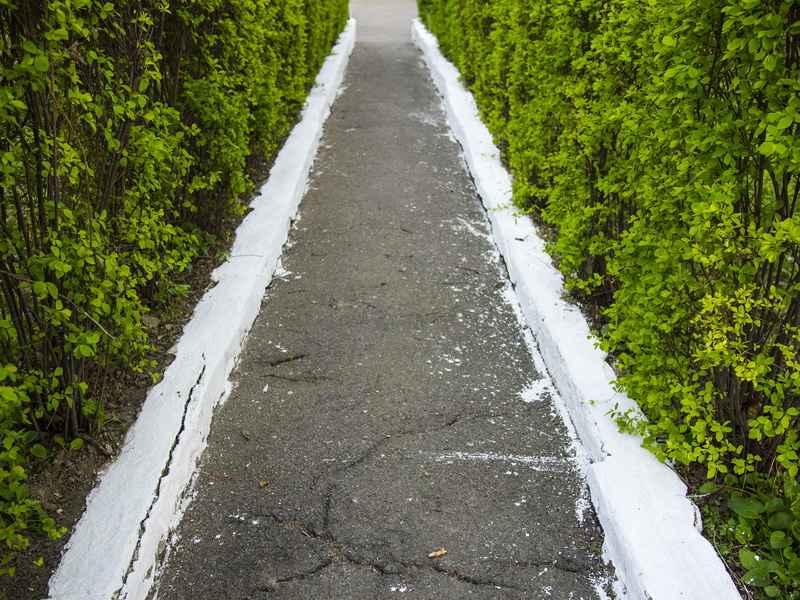 footpath, empty, park, symbol, chisinau, nature, garden, greens, green, grass, alone, thoughts, high angle view, direction, growth, outdoor, marking, walking