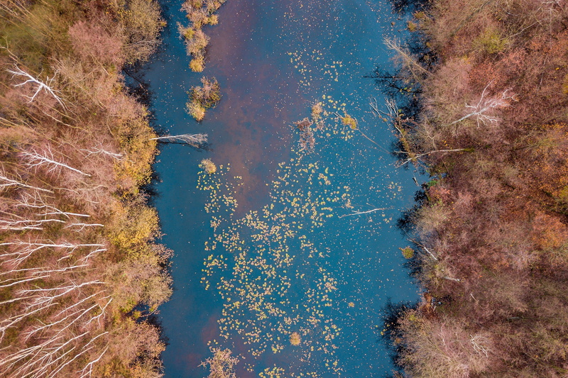 waterfront, lake, idyllic, land, plant, air, growth, mood, beauty in nature, 2K, day, lets go, non-urban scene, travel, blue, reflection, crossing, tranquil scene