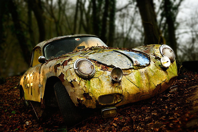 forest, land, obsolete, old, outdoors, plant, 1080P, 356 A, motor vehicle, abandoned, close-up, nature, mode of transportation, metal, required, field