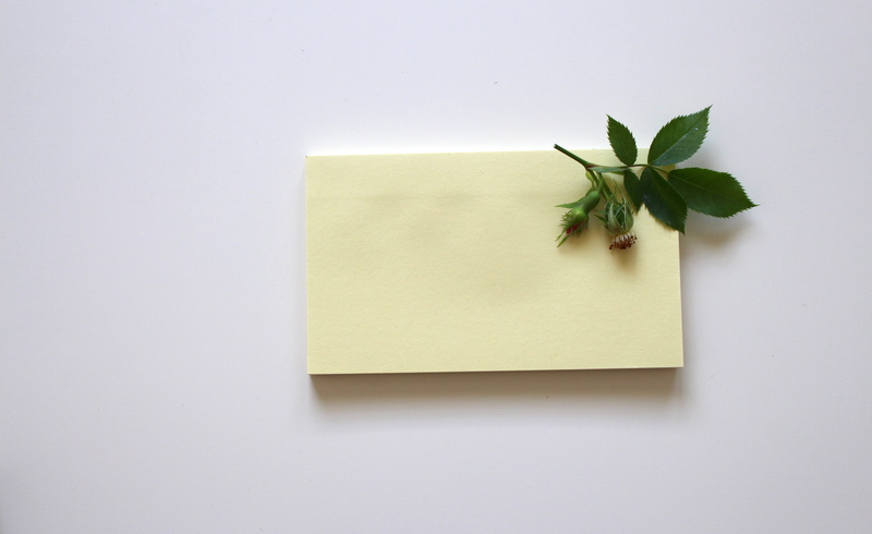 5K, planning, sticky, stationery, office accessories, studio shot, write down, blank, cut out, green color, office, copy space, message, yellow, herb