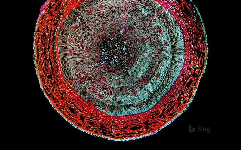 no people, enhanced, art and craft, shape, section, cut out, single object, illuminated, circle, light, indoors, glowing, electric light, studio shot, still life