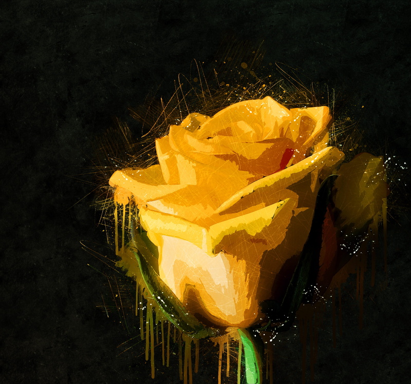 2K, food, healthy eating, plant, digital manipulation, digital composite, leaf, roses, painting, nature, wellbeing, digital enhancement, plant part, rose