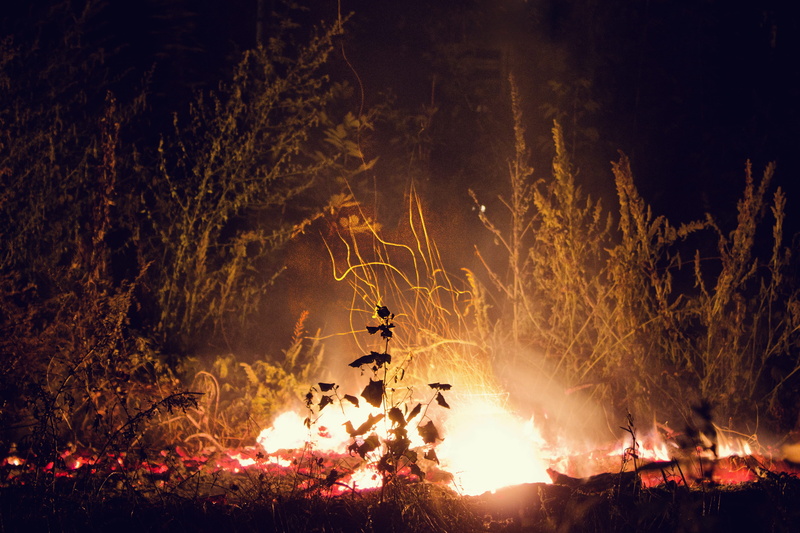 sizzling hot, sumy, fire - natural phenomenon, illuminated, balefire, motion, plant, incandescent, silhouette, long exposure, flame, night, ukraine, camp