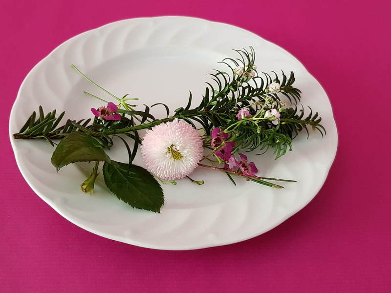 1080P, close-up, porcelain, nature, decorative, leaves, waxblume, background pink, flower, belli pink, beautiful, plate white, gypsophila, purple, flower head