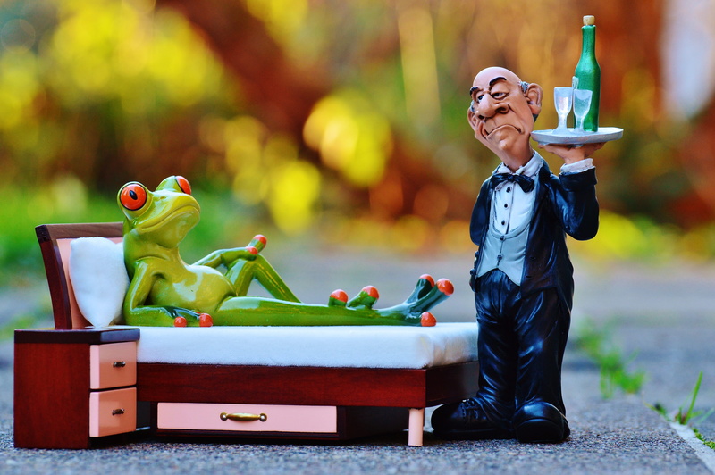 sweet, frog, representation, easily, figure, male likeness, butler, offspring, figurine, full length, focus on foreground, cute, humor, people, rest, concerns