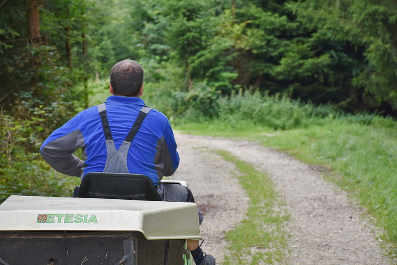 machine, one person, gasoline engine, lawn mower, day, focus on foreground, male, sit, green color, floor, outdoors, blue, mower, trees, work, workers