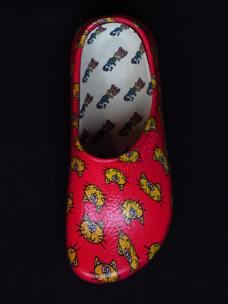 female likeness, red, craft, at home, creativity, waterproof, Slipper, cat, garden, garden shoe, art and craft, pattern, paint, floral pattern, Clog, dutch