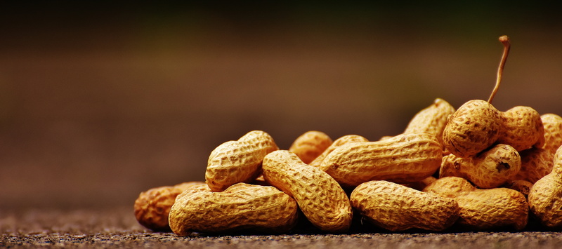 nuts, animals in the wild, baked, no people, knabberzeug, wholegrain, peanuts, photo, nutrition, cookie, food and drink, open, peanut, indoors, still life