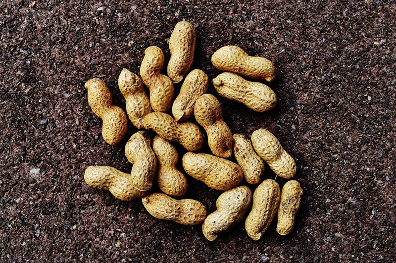 seed, nutrition, nuts, nut, directly above, brown, indoors, nutshell, Food, agriculture, macro, Peanuts, snack, textured, freshness, still life, nibble