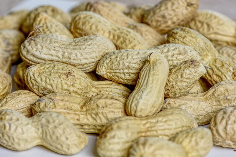 no people, nuts, peanut - food, consumerism, nut, wellbeing, healthy eating, nibble, 5K, full frame, snack, nutrition, eat, food, food and drink, freshness