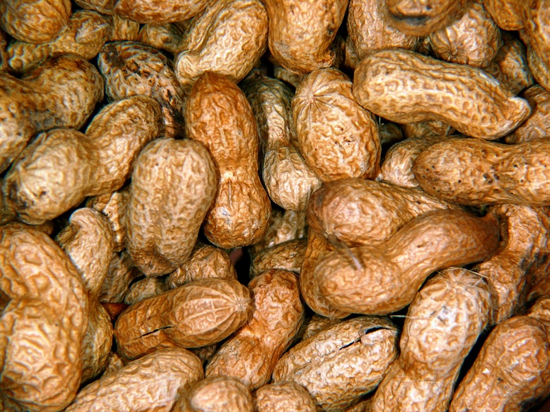 1080P, nutrition, peanut, heap, food and drink, close-up, baked, retail, french food, indoors, peanuts, still life, nibble, bread, abundance, market, healthy eating