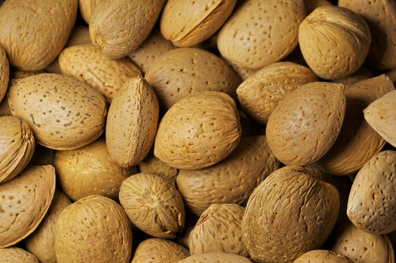 tasty, backgrounds, food, shell, large group of objects, healthy eating, food and drink, close-up, nibble, background, vitamins, snack, almond bowl, group of objects