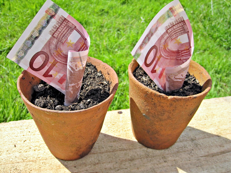 Money, 2K, finance, Pots, bill, two, plant, terracotta, bank notes, Europe, 10 euro note, currency, gardening, pot, dirt, euro currency, growth, euros