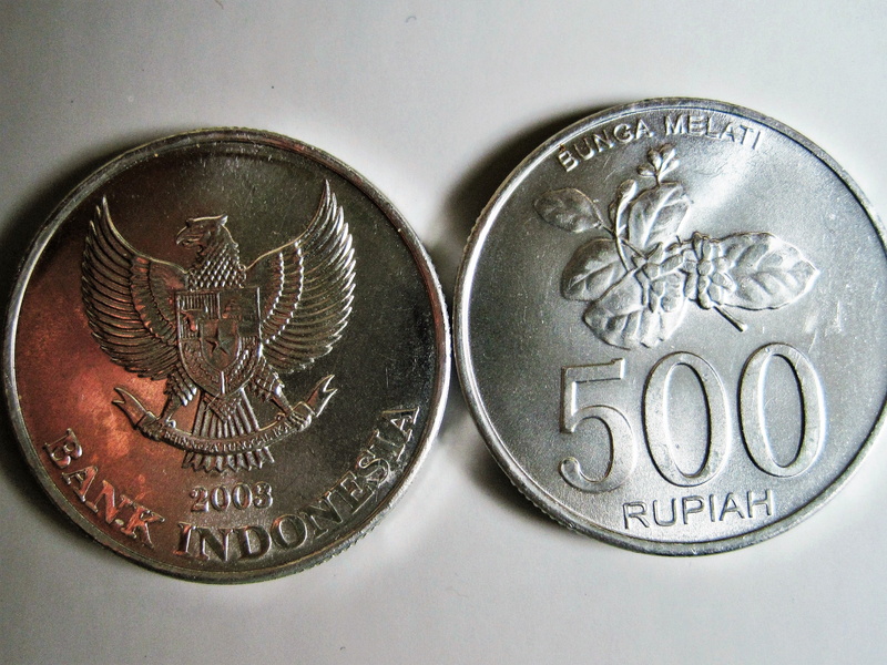 finance and economy, text, savings, indonesia, western script, circulation coins, coin, animal representation, finance, cash and cash equivalents, indochinese rupiah