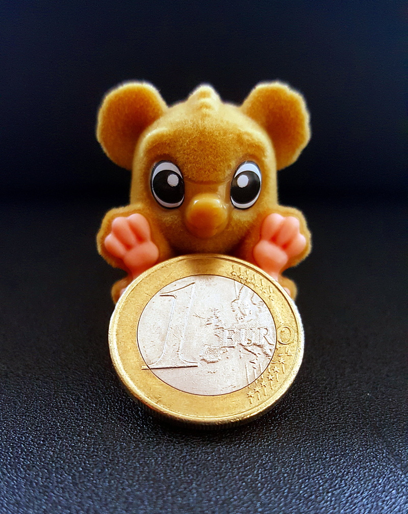 savings, economy, specie, save, sweet, table, wealth, € coin, 2K, investment, still life, metal, monkey, close-up, animal representation, ruble, cash