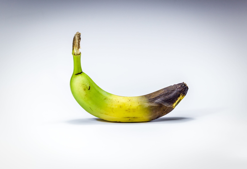 brown, unfit for human consumption, copy space, rot, fruit, lazy, close-up, wellbeing, cut out, time, healthy eating, white background, two objects, single object