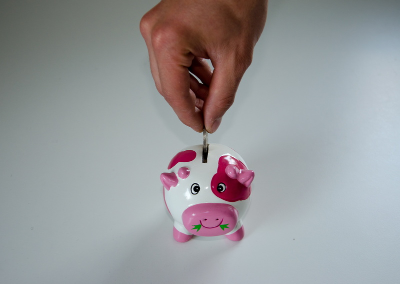 saving, representation, coins, cash, piggy, merit, pink, income, finance, coin, studio shot, holding, euro, pink color, assets, save, inserting, investment