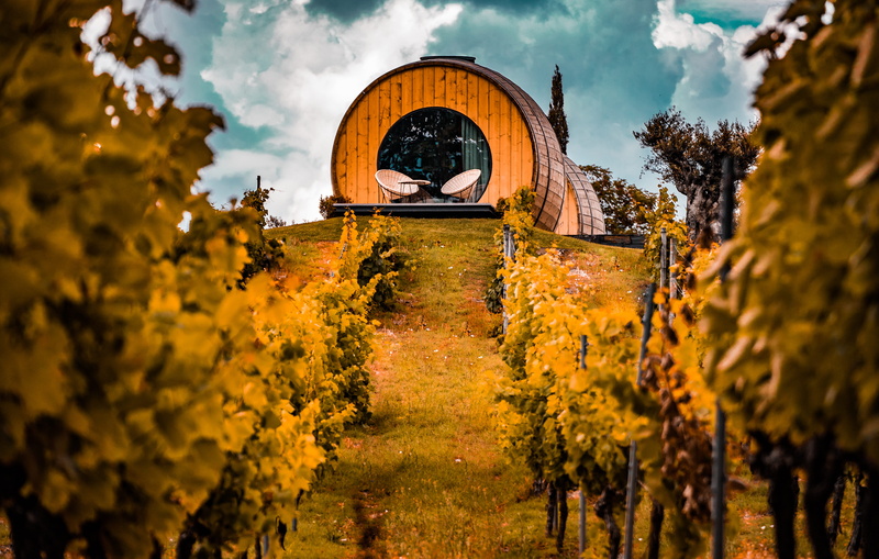 landscape, plant, green, house, autumn, douro, outdoors, yellow, no People, famous Place, beauty In Nature, tree, winecountry, dom, travel, sky, gold Colored