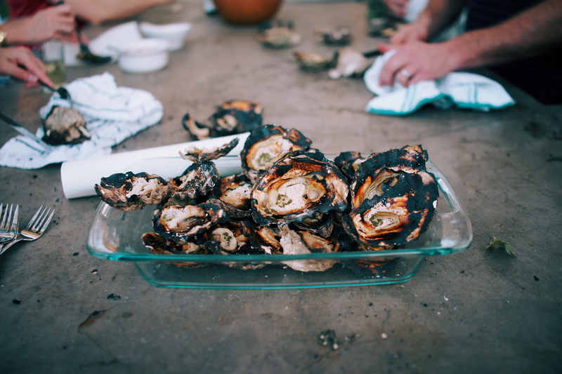 hand, healdsburg, table, real people, food, body part, focus on foreground, people, plate, oysters, human body part, 4K, holding, united states, human hand