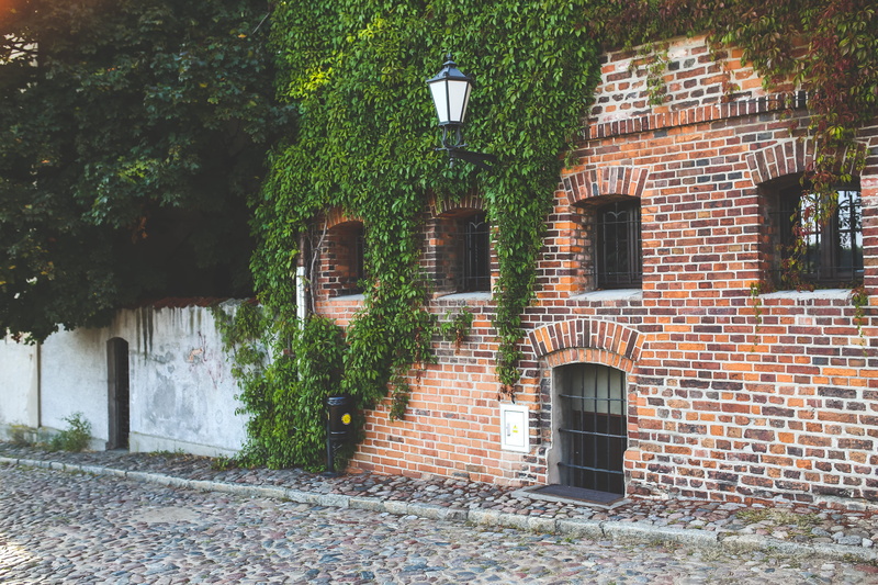 Torun, exterior, brick wall, wall - building feature, outdoors, wall, town, plant, ivy, built structure, city, no people, brick, tree, day, poland, vintage