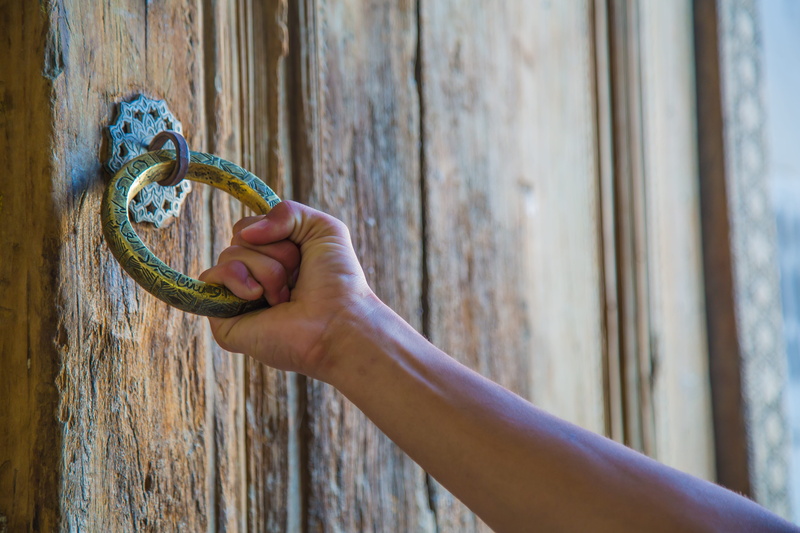 focus on foreground, human limb, adult, holding, real people, finger, tree trunk, day, women, unrecognizable person, uzbekistan, lightroom, wood - material