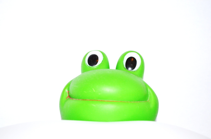 copy space, close-up, white background, happy, studio shot, environment, single object, Plastic, cut out, amphibian, green, representation, animal, background