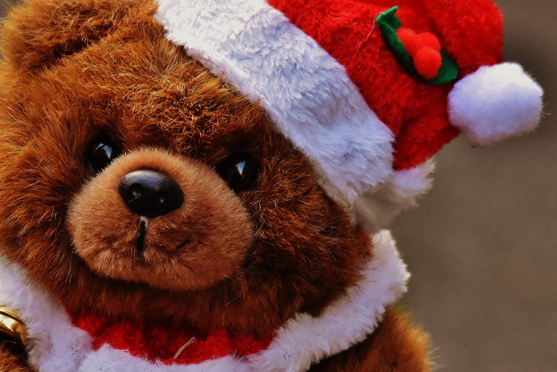 portrait, animal, face, stuffed animals, dog, brown bear, 2K, purry, vertebrate, toy, stuffed animal, indoors, funny, play, brown, domestic, hat, pets