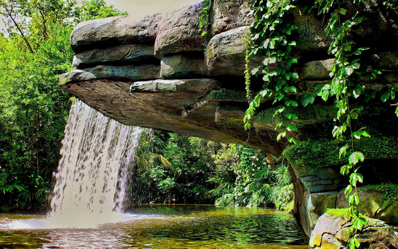 Waterfall, 2560x1600, cliff, 4k walpapers, Forest, nature, 2K, tree, hd