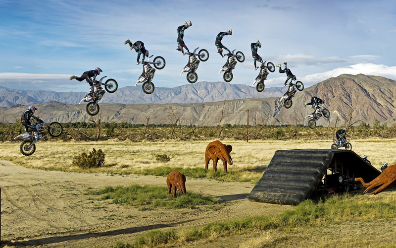 moto, jungle, elephant, motorcycle, 2K, statues, acrobatic, toys, race