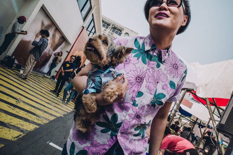 domestic, person, dog, front view, indoors, real people, animal, domestic animals, sleeve, pet owner, clothing, vertebrate, shorts, pet, lap dog, woman