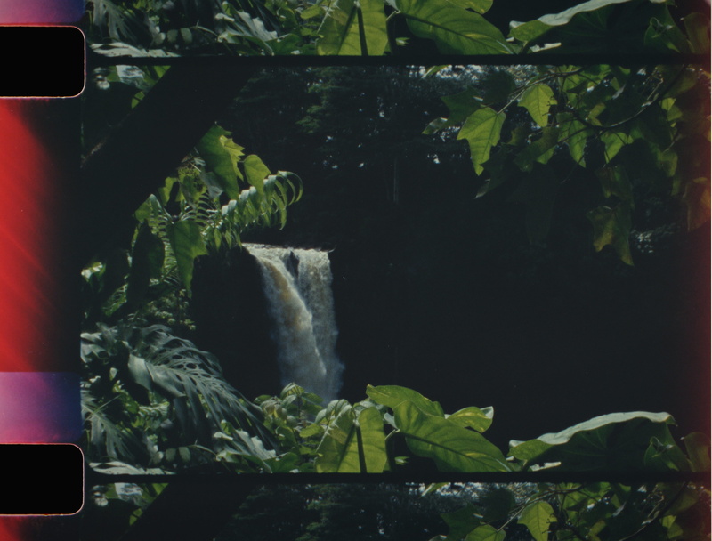 screen, green Color, film, sunny, flat, filmmaking, national geographic, plant, travel filmmaker, landscape, outdoors, tv, leaves, landscape photography