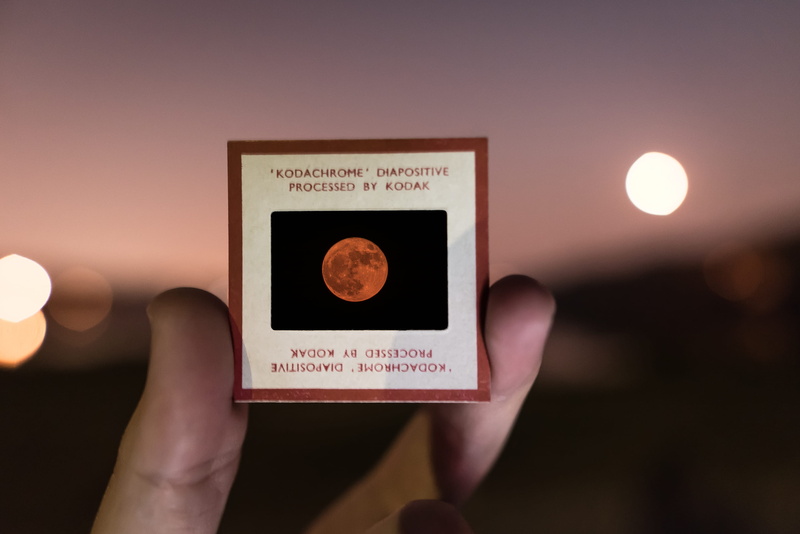 one person, focus on foreground, sunset, super moon, photo slide, night, united states, close up, close-up, body part, hand, finger, film, nature, lifestyles
