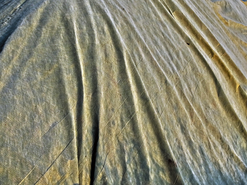 weathered, beauty in nature, close-up, natural pattern, plastic film, dirty, slide, high angle view, detail, land, backgrounds, still life, fold, structure
