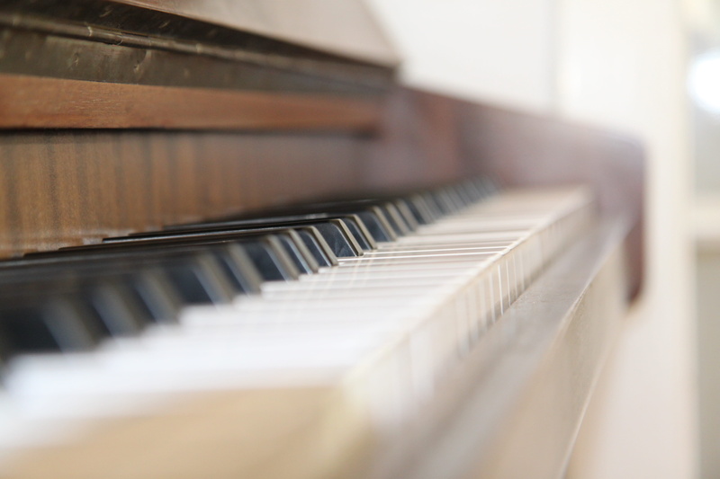 sound, white, keys, musical instrument, musician, selective focus, skill, black color, music player, upright, instrument, e organ, white color, brown, piano keyboard