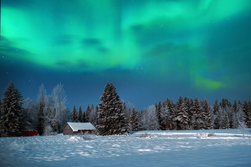 winter, the sky, night, 1080P, nature, houses, snow, sheds, forest, Northern lights