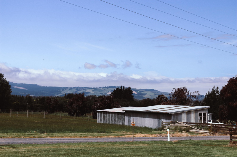cloud - sky, power supply, architecture, forest, plant, 5K, green, new zealand, farm, east taieri, field, building, landscape, grass, shed, electricity