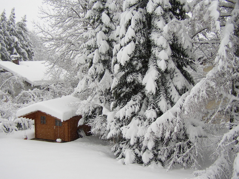 hell, covering, fir, garden shed, field, land, snowing, garden, cold temperature, no people, plant, extreme weather, winter, 1080P, snowed in, scenics - nature