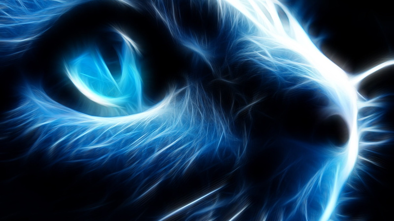 1080P, illuminated, burning, nature, fire - natural phenomenon, shape, flowing, cat, no people, technology, motion, backgrounds, blurred motion, futuristic