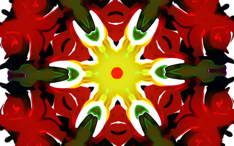 yellow, creativity, multi Colored, patterns, green, 1080P, black Color, lines, detail, flower, ornate, abstract, orange color, backdrop, shape, still life