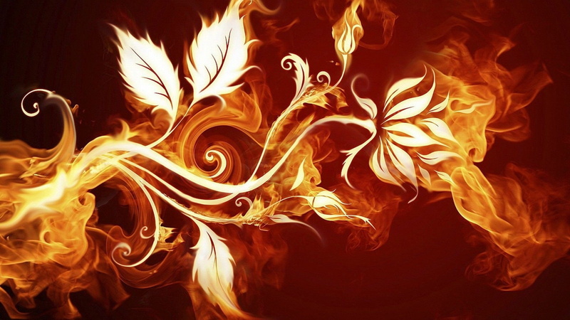 Flores, 1080P, abstracto, vector, arte