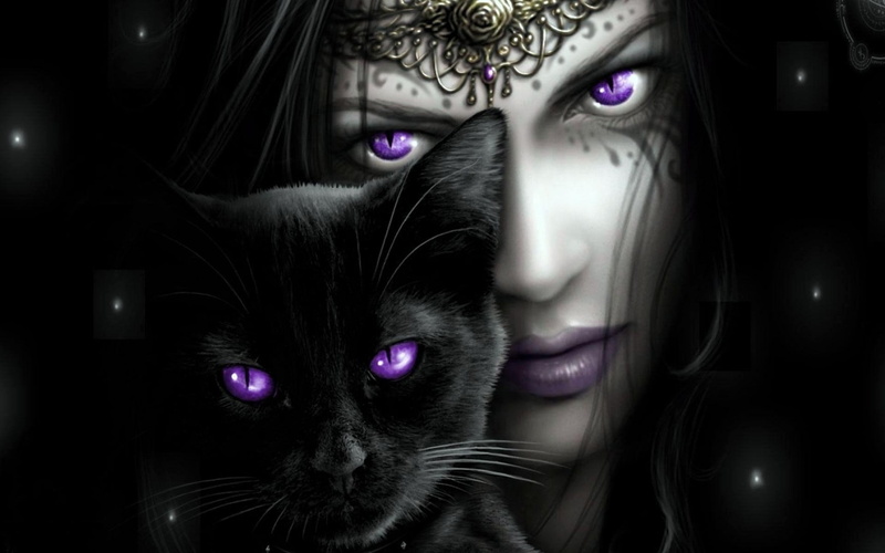 witch, spooky, cat, fear, evil, close-up, domestic, black color, Deutschland, 1080P, purple, Gothic, horror, whisker, adult, women, Gothic Wide, Katze