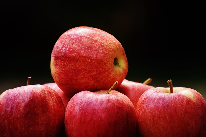 apple - fruit, ripe, fresh, no people, fruits, healthy eating, plant stem, food and drink, genetic research, still life, fruit, apples, freshness, cut out