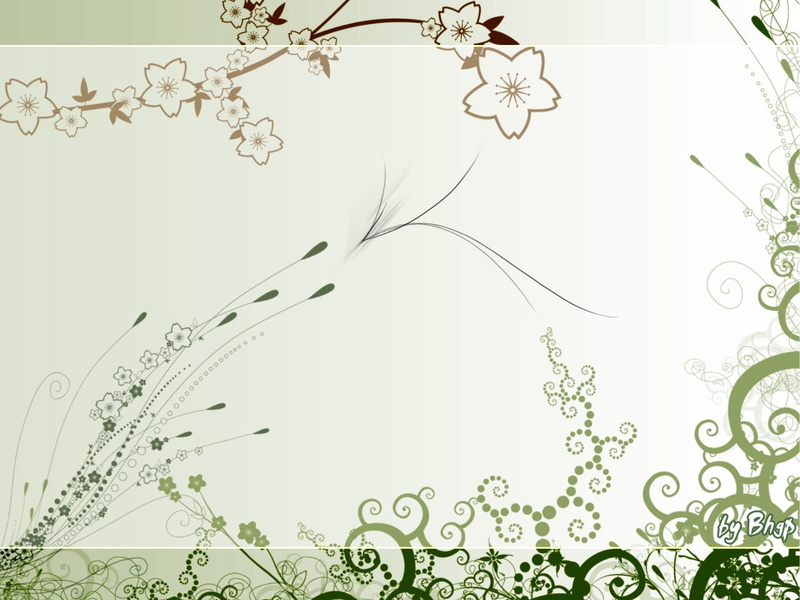 shape, springtime, backgrounds, indoors, beauty in nature, pattern, green, stems, copy space, curled Up, flowers, Pattern, plant, 720P, frame