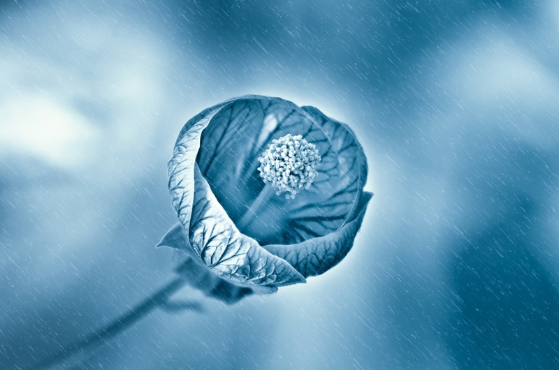 winter, no people, colored background, nature, digital composite, occupation, close-up, droplet, genetic research, blue, 1080P, fresh, indoors, science