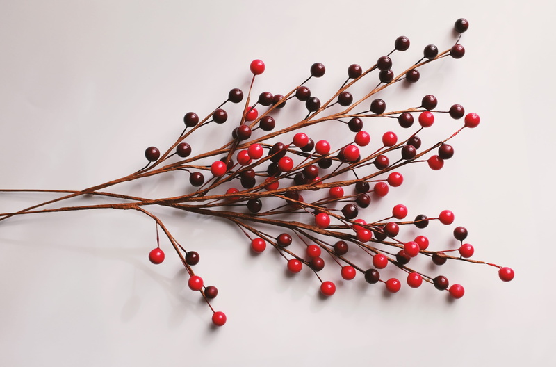 christmas, foliage, food, black, round, fruit, twigs, emotion, large group of objects, abundance, education, close-up, gray, floral, studio shot, healthy eating