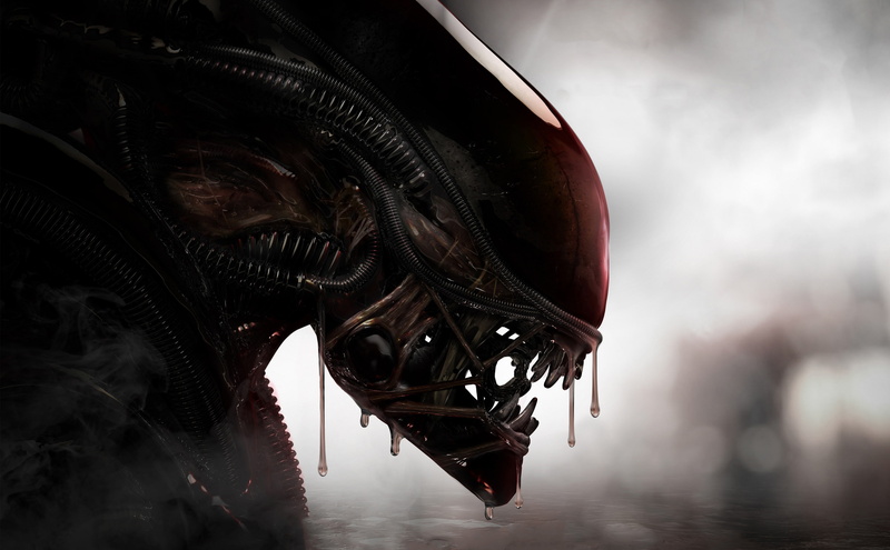 creature, Xenomorph, aliens, 4K