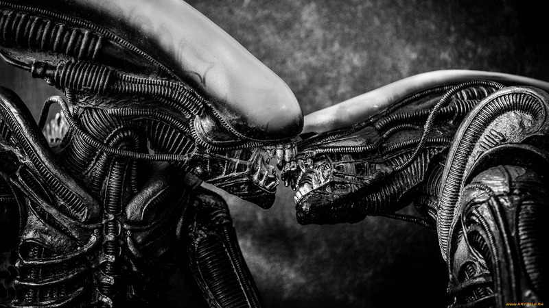 bicycle, finger, day, outdoors, low section, activity, body part, hand, lifestyles, Xenomorph, close-up, one person, human body part, real people, creature