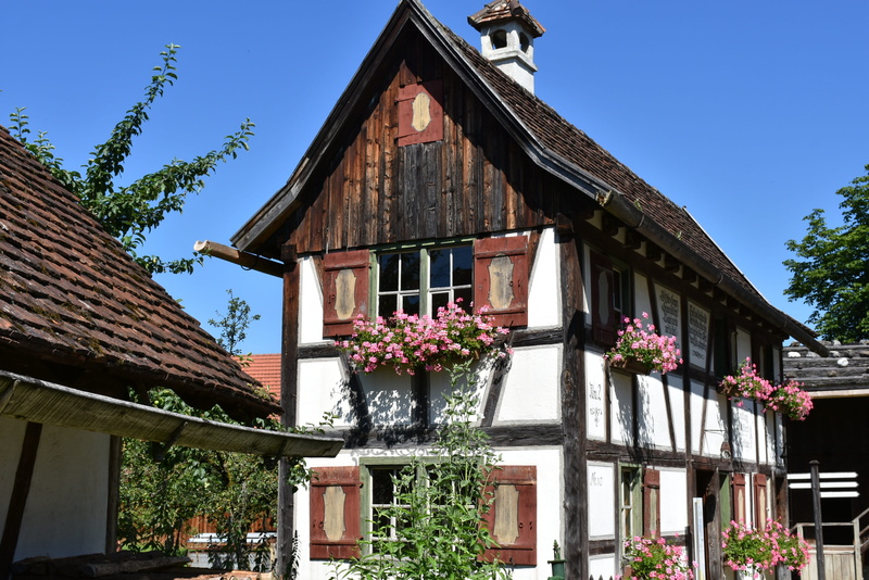 garden, wood, flowering plant, building, brown, wooden, flower, window, white, construction, clear sky, daytime, growth, roof tile, exterior, tiny house